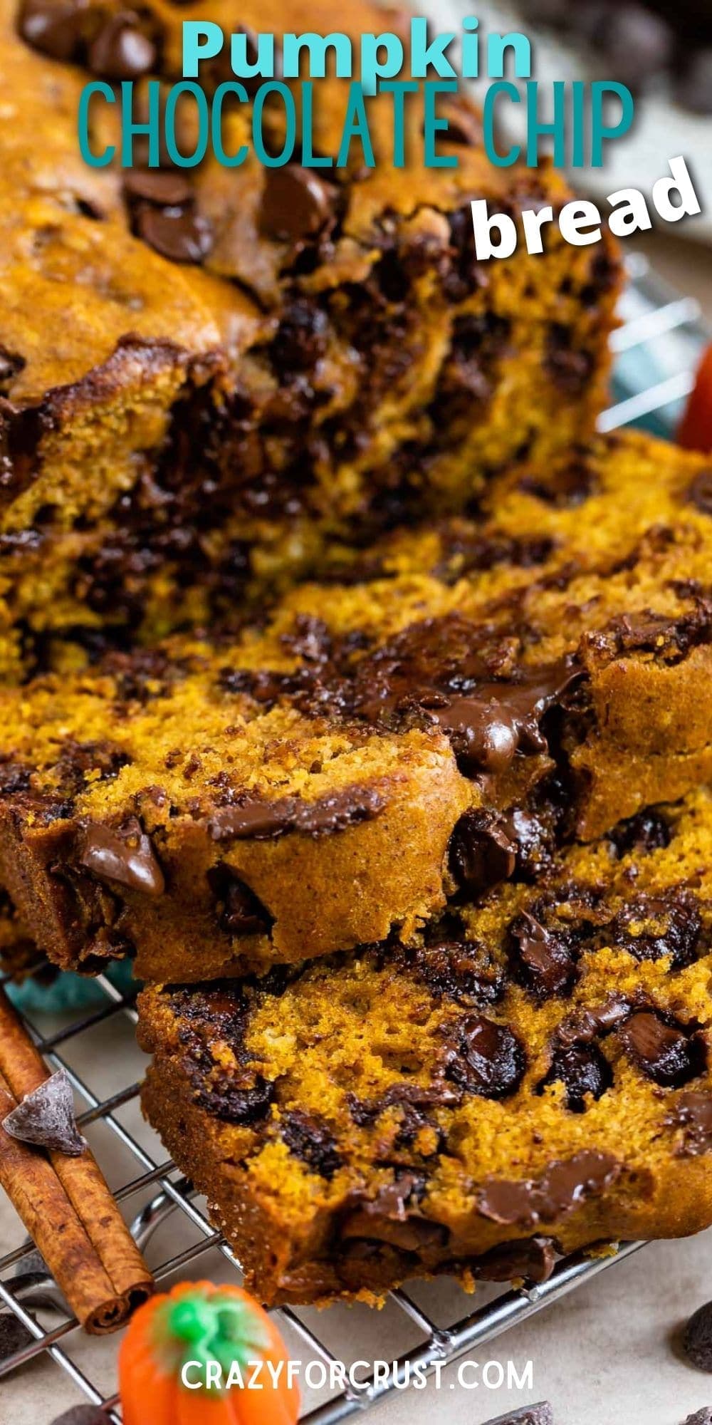 Pumpkin Chocolate Chip Bread Recipe