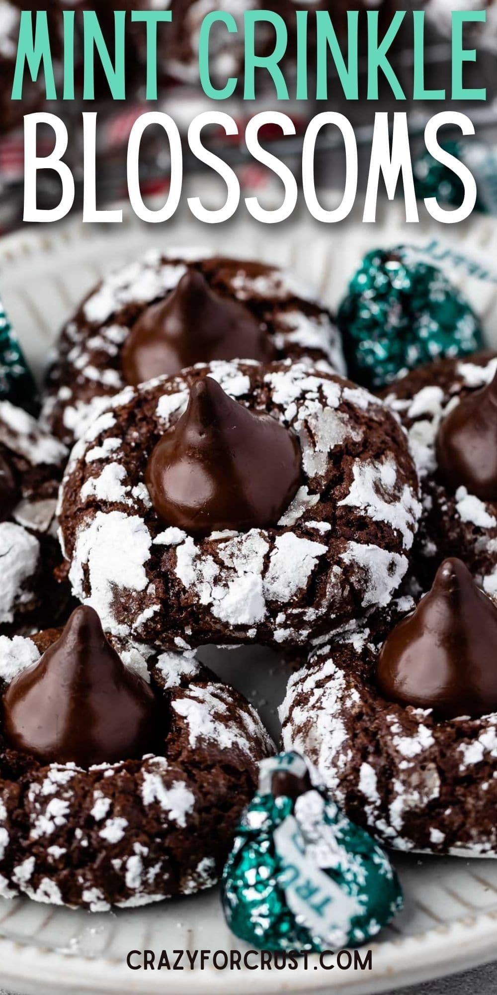 Chocolate Mint Crinkle Cookies Recipe