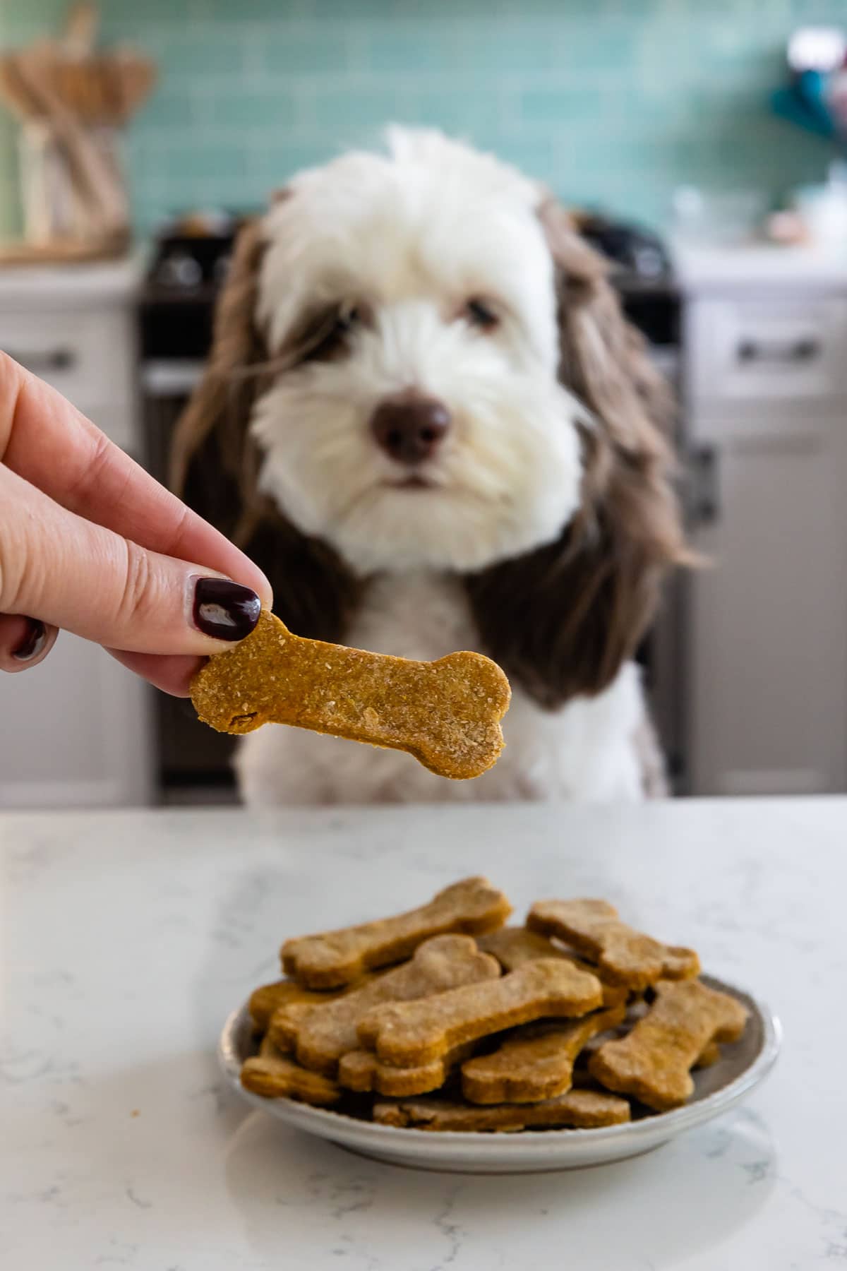 Peanut Butter Pumpkin Dog Cookies Recipe