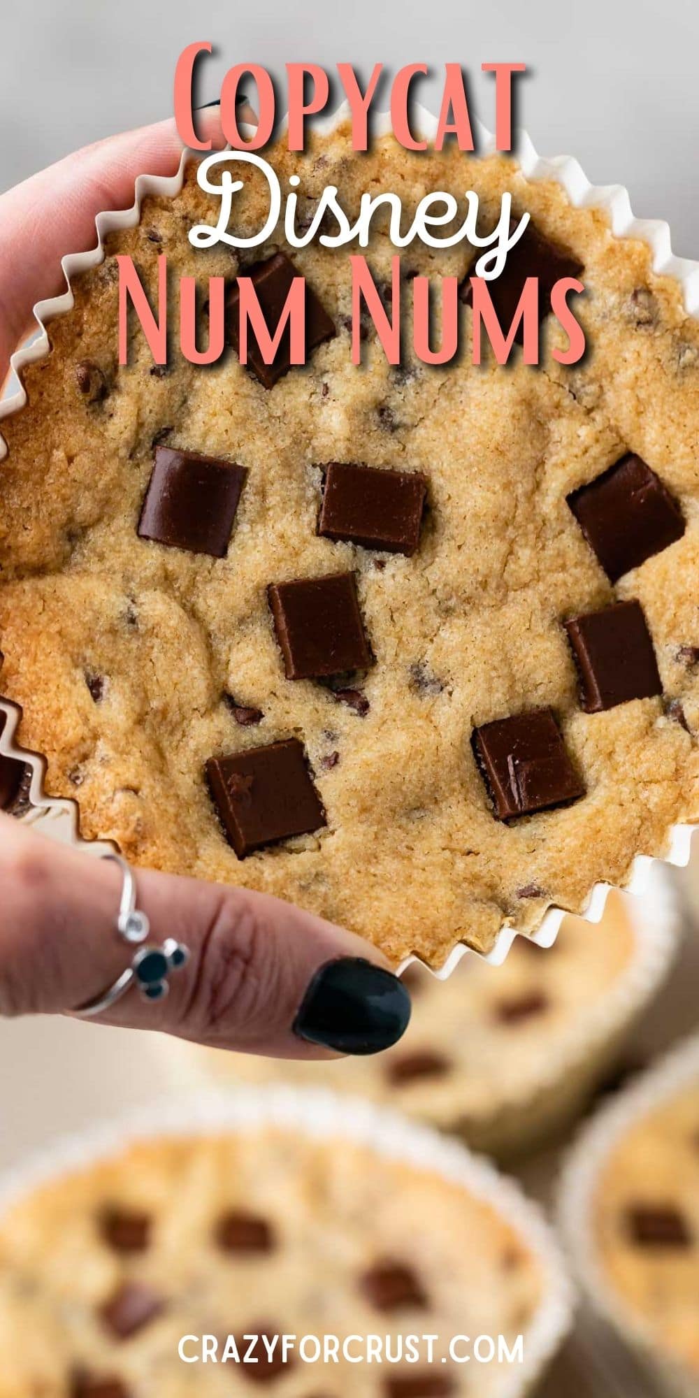 Copycat Disney Num Nums Recipe