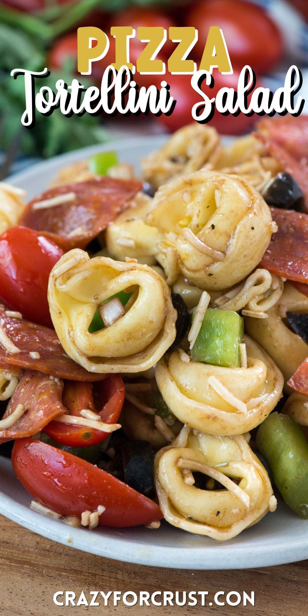 Pizza Pasta Salad Recipe