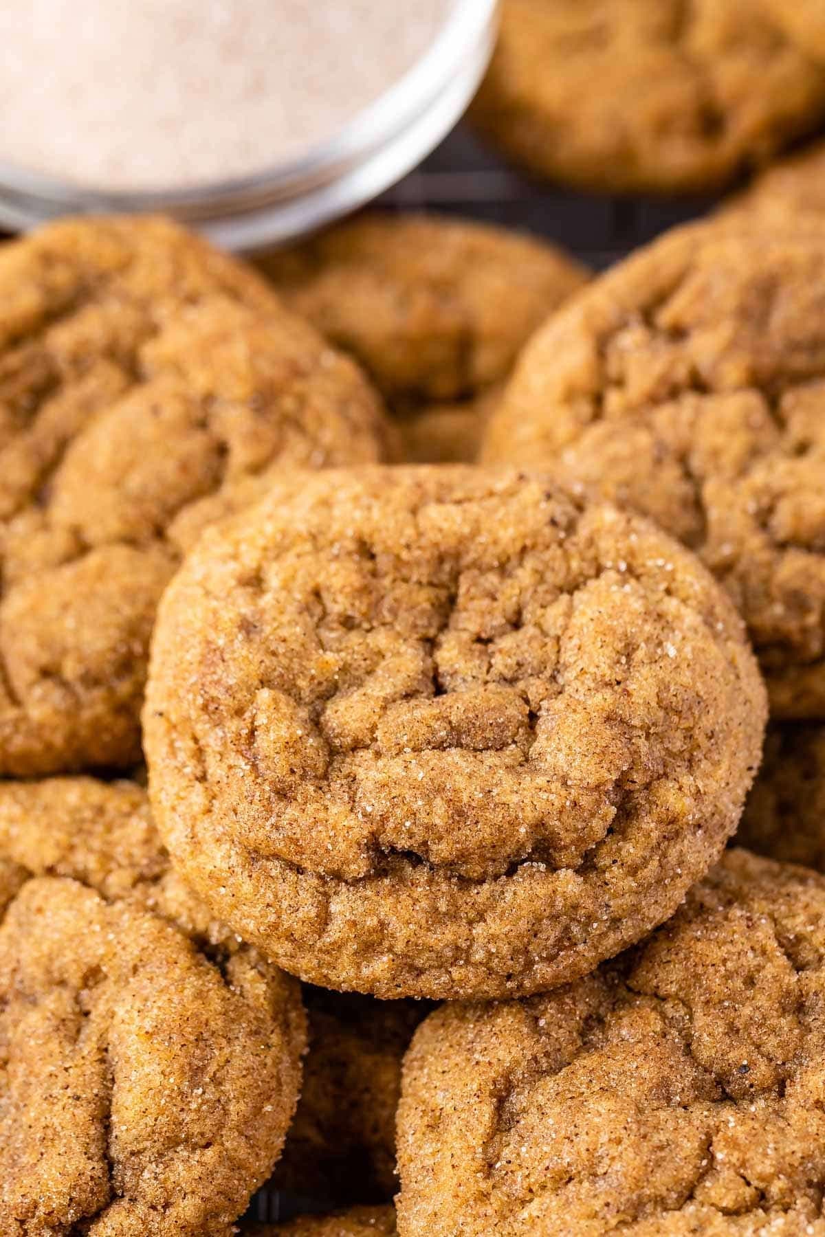 Pumpkin Snickerdoodles Recipe