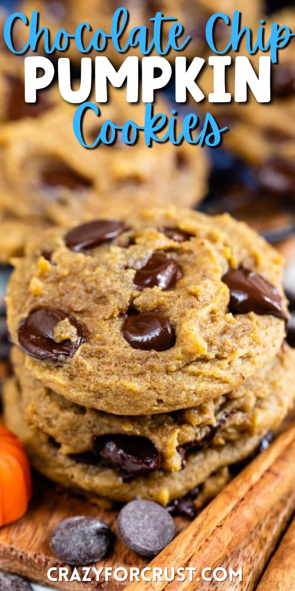 Pumpkin Chocolate Chip Cookies Recipe