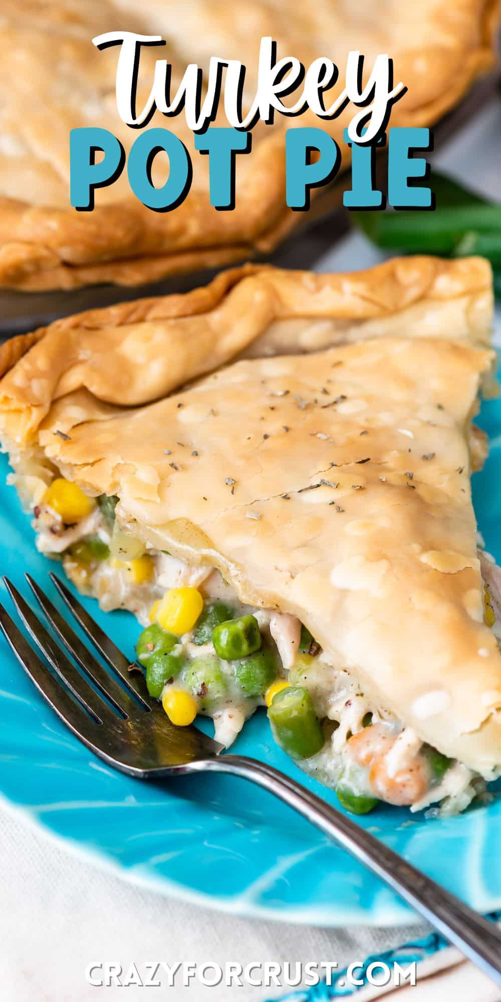 Turkey Pot Pie Recipe