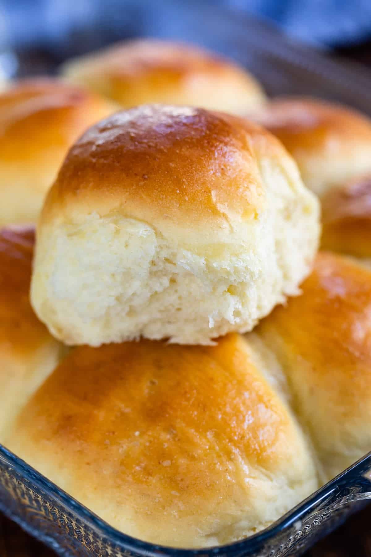 Fluffy Potato Rolls Recipe