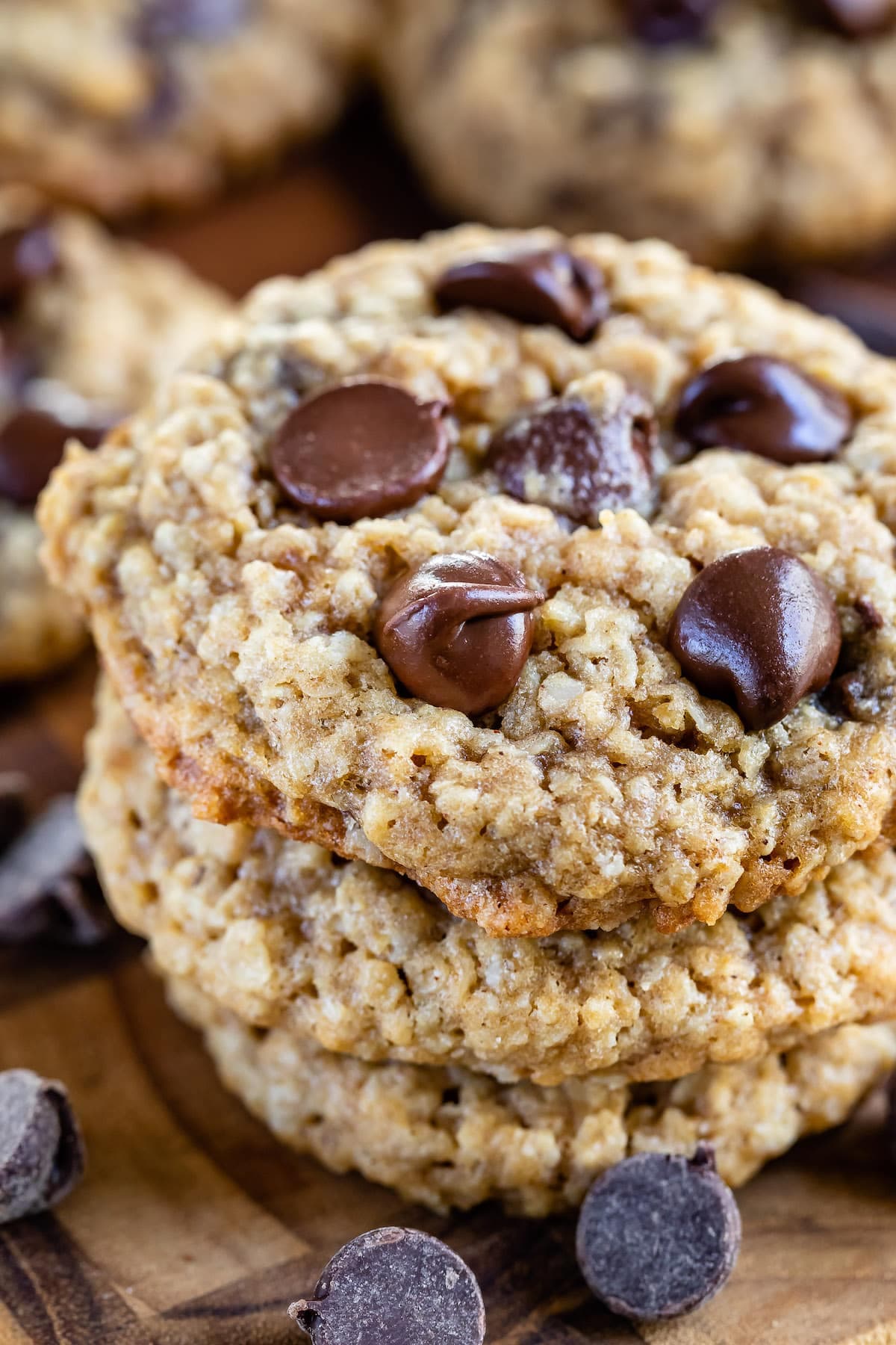 Oatmeal Chocolate Chip Cookies Recipe