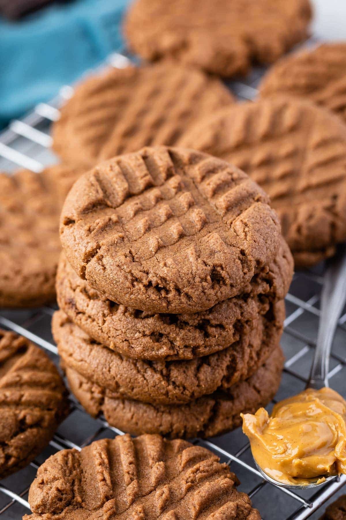 Chocolate Peanut Butter Cookies Recipe