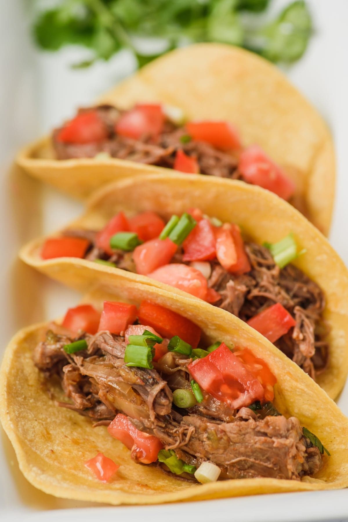 Slow Cooker Shredded Beef Taco Recipe