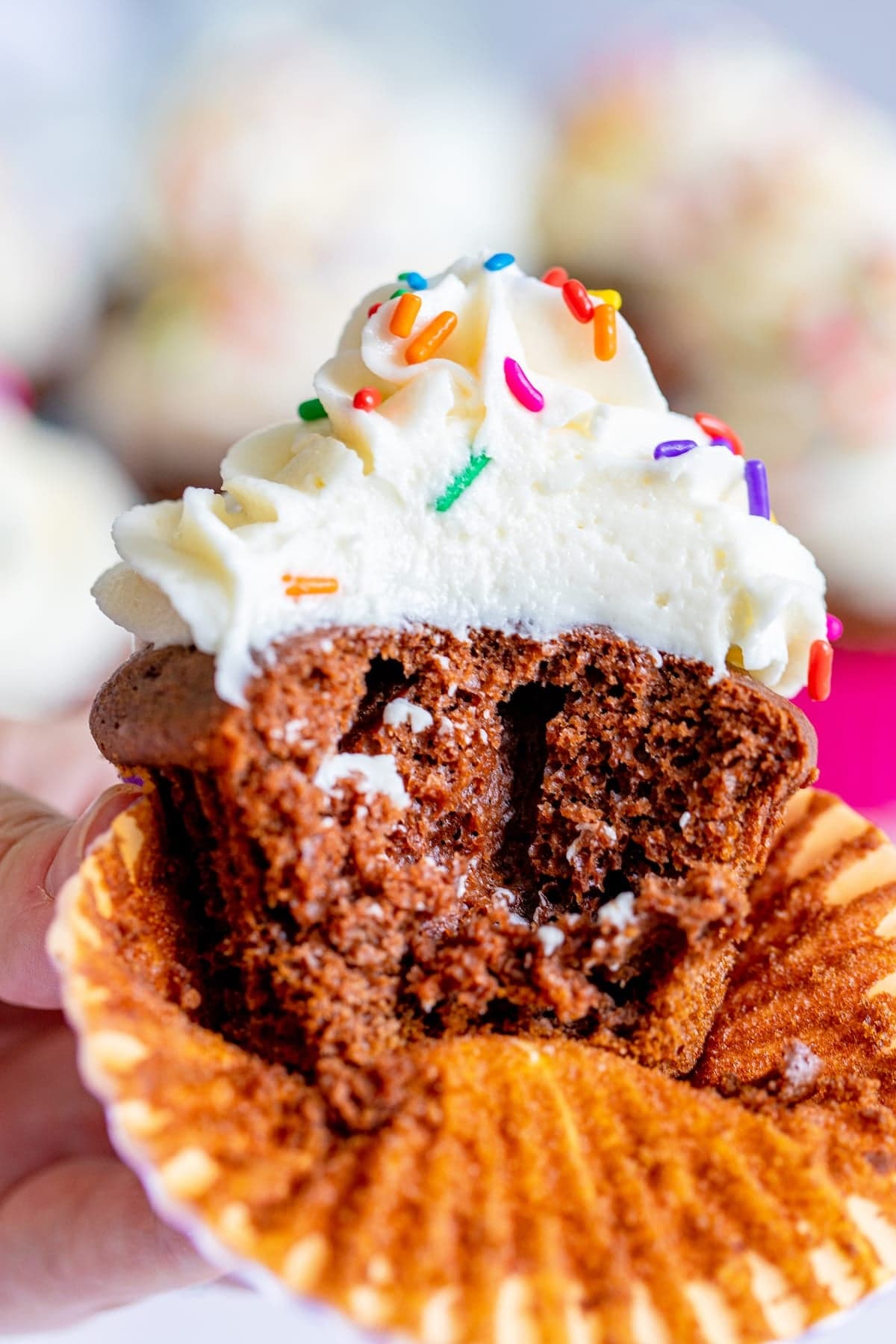 Chocolate Pumpkin Cupcakes