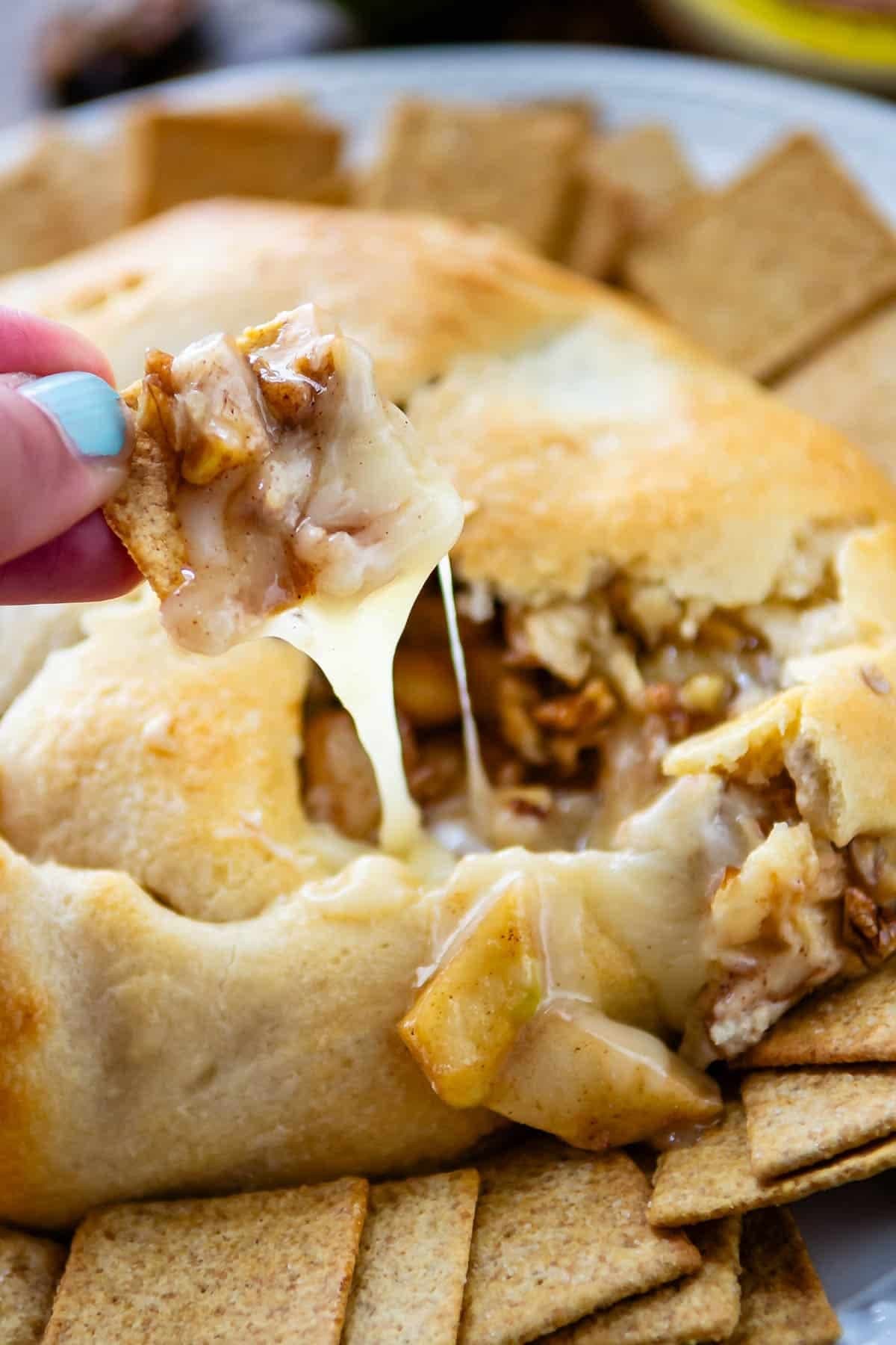 Apple Pecan Pie Brie