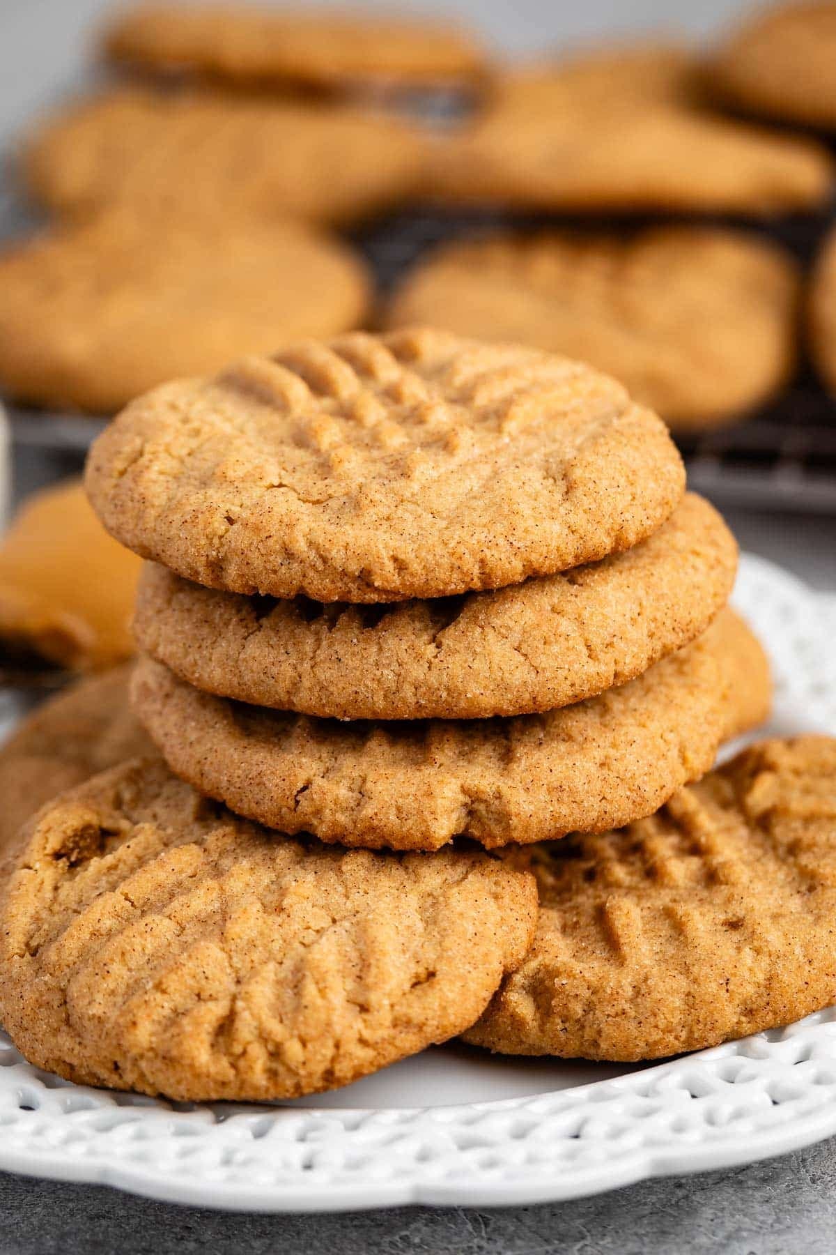 Peanut Butter Snickerdoodles Recipe