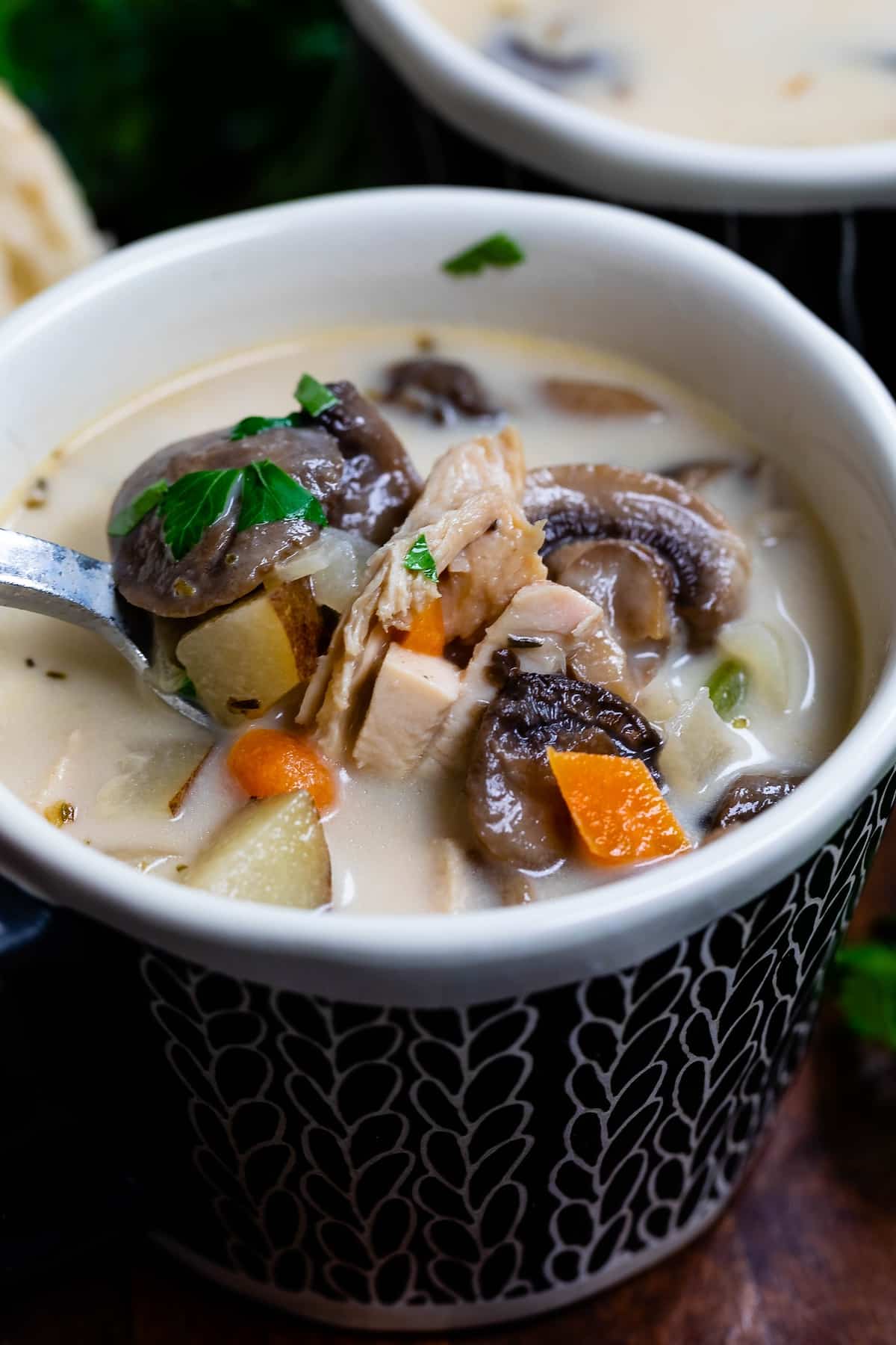30 Minute Chicken and Mushroom Soup