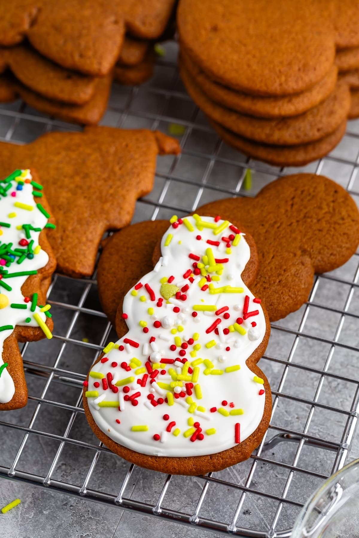 Soft Gingerbread Cookie Recipe