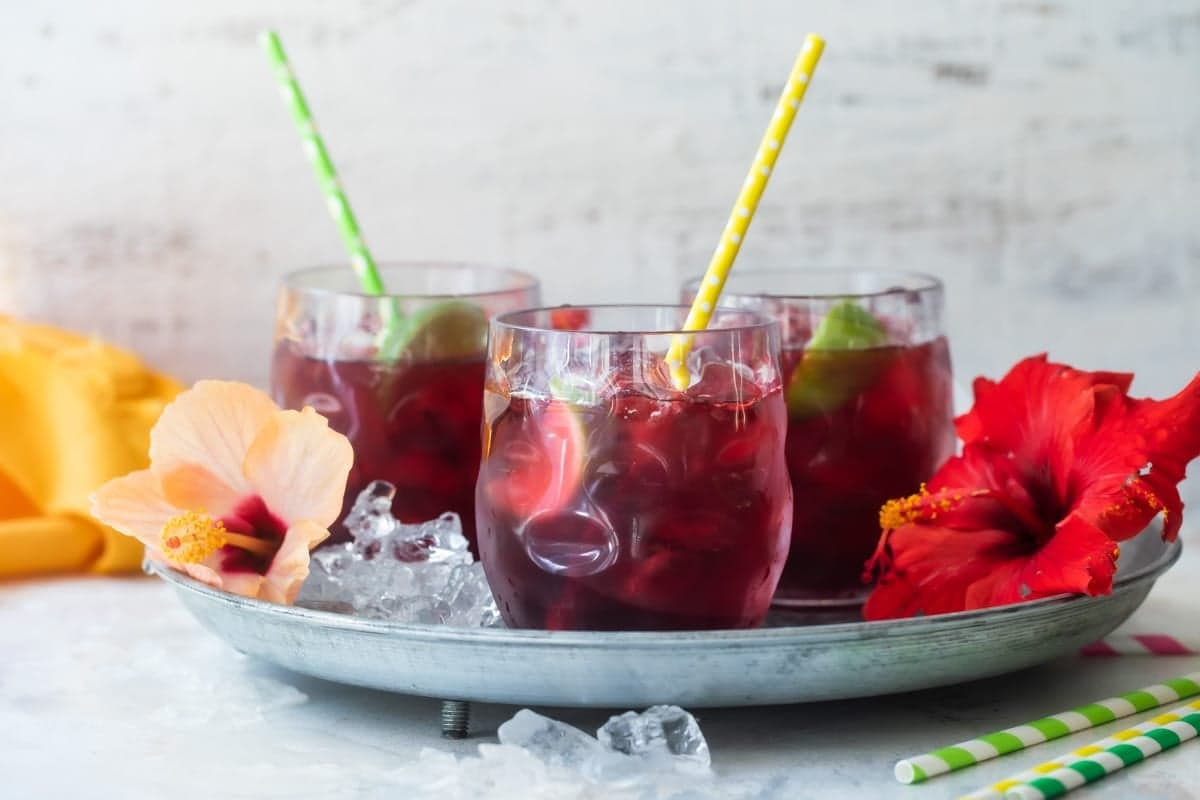 Hibiscus Tea Recipe